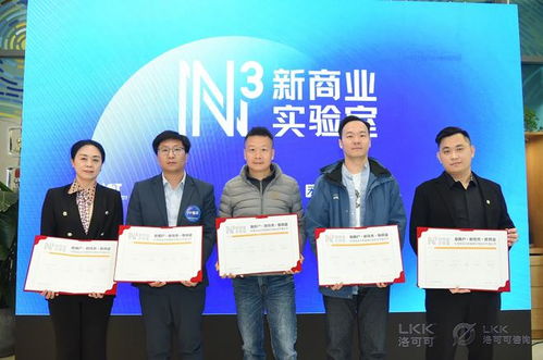 洛可可咨詢業(yè)務全新升級 信息技術咨詢服務邁向獨立運營新階段