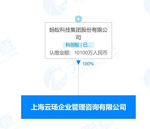 螞蟻科技新設咨詢公司，深耕企業服務與數字技術融合