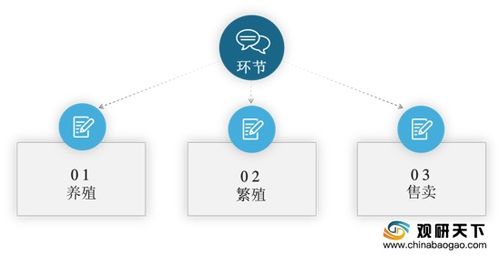 2020年中國(guó)寵物繁殖與活體交易市場(chǎng)調(diào)研報(bào)告 深度分析與未來商機(jī)預(yù)測(cè)